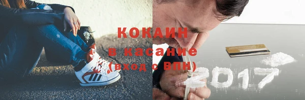 шишки Яровое