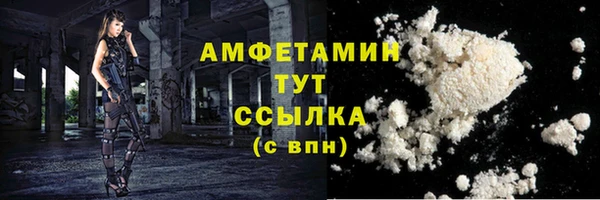 мдпв Дмитриев