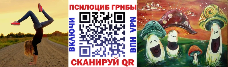 Псилоцибиновые грибы прущие грибы  Купить  Качканар 
